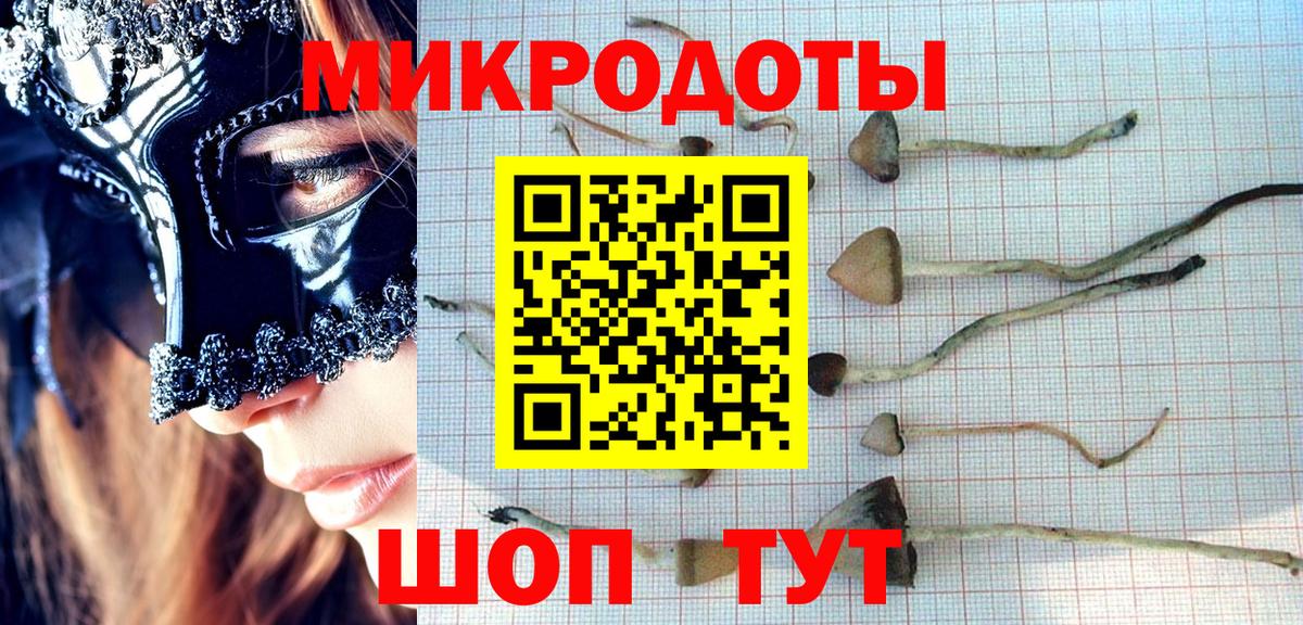 Галлюциногенные грибы GOLDEN TEACHER Гусиноозёрск