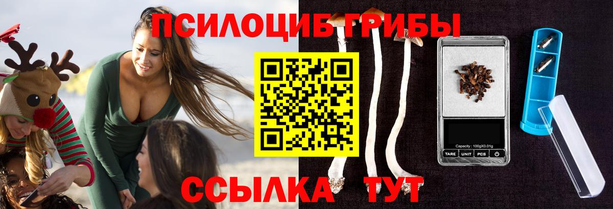 Гусиноозёрск  Псилоцибиновые грибы мицелий  Вход с VPN 