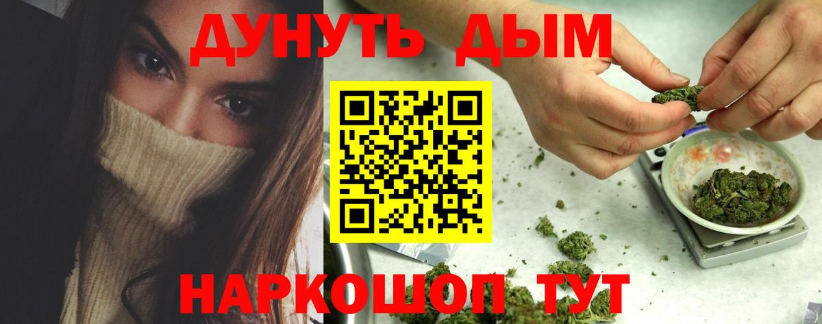 Конопля индика Гусиноозёрск